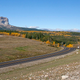 Image for article titled The Ten Coolest Roads Not On Google Street View